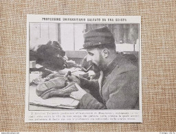 Il Professore Tailovoix Nel 1914 Salvato Da Una Scarpa Prima Guerra Mondiale WW1 - Autres & Non Classés