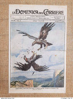 Copertina La Domenica Del Corriere 7 Giugno 1914 Lotta Tra Aquile In Valnerina - Sonstige & Ohne Zuordnung