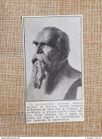 Busto Onorevole Luigi Luzzati Opera Scultore Alfredo Rosada Di Treviso Del 1914 - Sonstige & Ohne Zuordnung