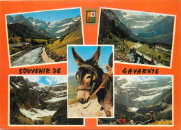 65 - SOUVENIR DE GAVARNIE - Gavarnie