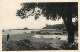 66 - BANYULS SUR MER - Banyuls Sur Mer