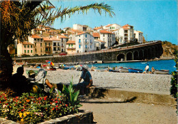 66 - BANYULS SUR MER  - Banyuls Sur Mer