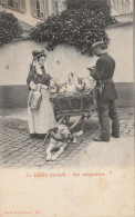 Bruxelles La Laitière Flamande Et Attelage De Chien Une Contravention édition Beyaert Filleul N°3957 Les Pots De Lait - Ambachten