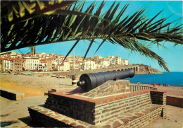 66 - BANYULS SUR MER  - Banyuls Sur Mer