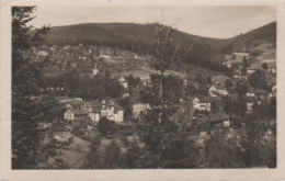 5005 - Klingenthal Sachsen - Sachsenberg-Georgenthal - 1954 - Klingenthal