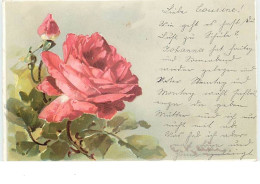 N°12551 - C. Klein - Rose Rouge - Klein, Catharina