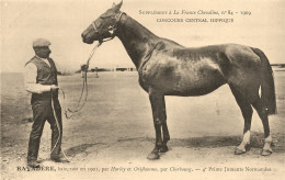 Hippisme * La France Chevaline N°84 1909 * Concours Centrale Hippique * Cheval BAYADERE Baie Jument Normandes - Reitsport