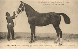 Hippisme * La France Chevaline N°81 1909 * Concours Centrale Hippique * Cheval TENTATIVE Noire Jument Normande - Hippisme