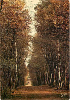 93 - Bondy - Promenade En Forêt De Bondy - CPM - Voir Scans Recto-Verso - Bondy