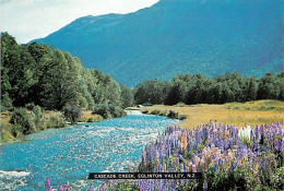 Nouvelle Zélande - New Zealand - Cascade Creek, Eglinton Valley - CASCADE CREEK, EGLINTON VALLEY - CPM - Voir Scans Rect - Nouvelle-Zélande