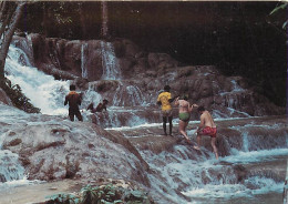 Antilles - Jamaïque - Jamaica - Follow The Leader, Climbing Dunn's River Falls - "FOLLOWTHE LEADER," CLIMBING DUNN'S RIV - Giamaica