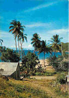 Antilles - Rivage Caraibe - CPM - Voir Scans Recto-Verso - Autres & Non Classés