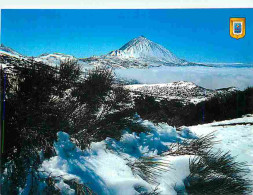 Espagne - Tenerife - Parc National Las Canadas Del Teide - CPM - Voir Scans Recto-Verso - Tenerife