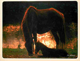 Animaux - Chevaux - Pouliche Et Son Poulain - Coucher De Soleil - Carte Neuve - CPM - Voir Scans Recto-Verso - Pferde