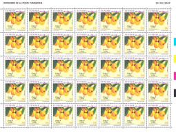 2009- Tunisie - Y&T 1639 -Fruits De Tunisie - La Néfle - Feuille Entière 35V MNH***** - Fruits