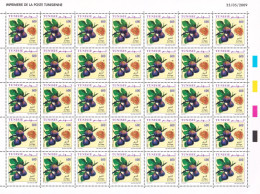 2009- Tunisie - Y&T 1641 -Fruits De Tunisie - La Figue - Feuille Entière 35V MNH***** - Frutta