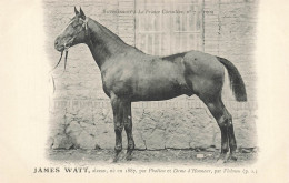 Hippisme * La France Chevaline N°7 1909 * Concours Centrale Hippique * Cheval JAMES WATT Alezan - Horse Show
