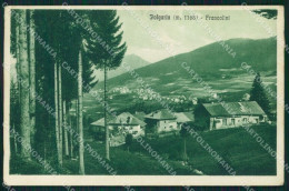 Trento Folgaria Francolini ABRASA PIEGA Cartolina VK3941 - Trento