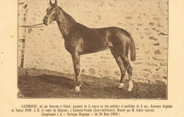 Hippisme * Cheval GAUDRIOLE Bai Ganant Concours Nantes 1909 , à Le Comte Du Ahlgouet Guémené Penfao * Hippique - Guémené-Penfao