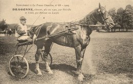 Hippisme * La France Chevaline N°68 1909 * Concours Centrale Hippique * Cheval DRAGONNE Alezane Jockey - Reitsport