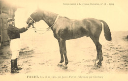 Hippisme * La France Chevaline N°28 1909 * Concours Centrale Hippique * Cheval FALOT Bai - Hippisme