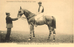 Hippisme * La France Chevaline N°33 1909 * Concours Centrale Hippique * Cheval FRANCKLIN Bai Jockey - Ippica