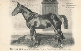 Hippisme * La France Chevaline N°16 1909 * Concours Centrale Hippique * Cheval TRINQUEUR Alezan - Horse Show