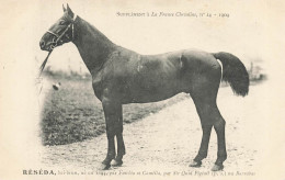 Hippisme * La France Chevaline N°14 1909 * Concours Centrale Hippique * Cheval RESEDA Bai Brun - Horse Show