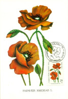 Turkish Cyprus Zypern Chypre Cipro " 1981 Flowers Papaver RHOEAS L  " Maximum Card - Andere & Zonder Classificatie