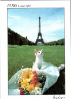 La Tour Eiffel -   Photo Shinjiro. Sagara.     Carte Datée De 1993 - Eiffelturm