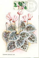 Turkish Cyprus Zypern Chypre Cipro " 1981 Flowers Cyclamen Persicum Mill  " Maximum Card - Otros & Sin Clasificación