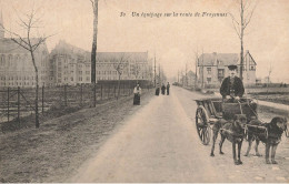 Froyennes , Tournai , Hainaut * Attelage à Chien Voiture à Chiens * Un équipage Sur La Route * Belgique - Doornik