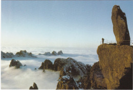 CINA - CHINA - CHINE - POST CARDS - CARTOLINA - MONUNT HUANGSHAN - Cina