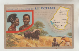 CARTON FORMAT CPSM PUBLICITE LION NOIR - COLONIES FRANCAISES : Le Tchad - Ciad