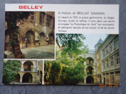 MAISON NATALE DE BRILLAT SAVARIN - Belley