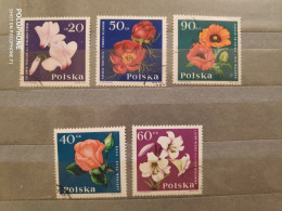 1964	Poland	Flowers (F85) - Gebraucht