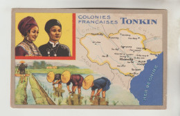 CARTON FORMAT CPSM PUBLICITE LION NOIR - COLONIES FRANCAISES : Le Tonkin (Viet Nam) - Vietnam