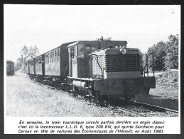 1981  --  TRAIN QUITTANT LA GARE DE SENTHEIM EN 1980 . 4A754 - Non Classificati