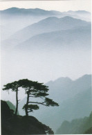 CINA - CHINA - CHINE - POST CARDS - CARTOLINA - MONUNT HUANGSHAN - Cina