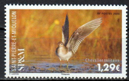 St. Pierre Et Miquelon - Postfris / MNH - Birds 2024 - Neufs