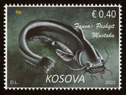 Kosovo 2022 Fauna Fishes Freshwater Fish Catfish, Definitive Stamp MNH - Kosovo