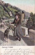 SUISSE(TESSIN) TYPE(CHEVRE) - Autres & Non Classés