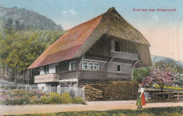 LANDWIRTSCHAFT - Bauernhaus Im Schwarzwald, Verlag Manias - Strassburg - Farms