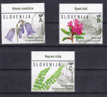 SLOVENIA 2024,FLORA,PLANTS OF THE POHORJE,,,MNH - Slovénie