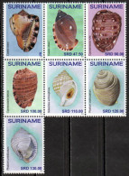 Surinam / Suriname - Postfris / MNH - Complete Set Shells 2024 - Suriname