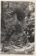 A 3184 TÜRNITZ, Falkenschlucht 1938 - Lilienfeld