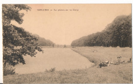 TERVUREN  VUE GENERALE SUR LES ETANGS              2 AFBEELDINGEN - Tervuren