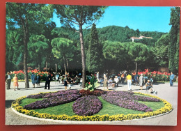 CHIANCIANO TERME - Sorgente Acquasanta - Parco - 1970 (c236) - Siena