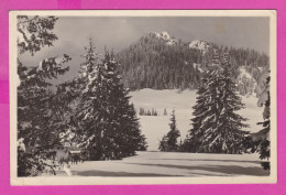 310250 / Bulgaria - Rhodope Mountains - Mount Karamandzha, Renamed "Snezhanka (Snow White)" 1962 PC Bulgarie - Bulgaria