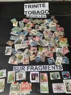 TRINIDAD TOBAGO ,8 G DECOLLES + 3 G SUR FRAGMENTS, ANCIENS + MODERNES, GRANDS 特立尼达多巴哥，8 克独立 + 3 克碎片，古代 + 现代，大型 ON + OFF - Vrac (max 999 Timbres)